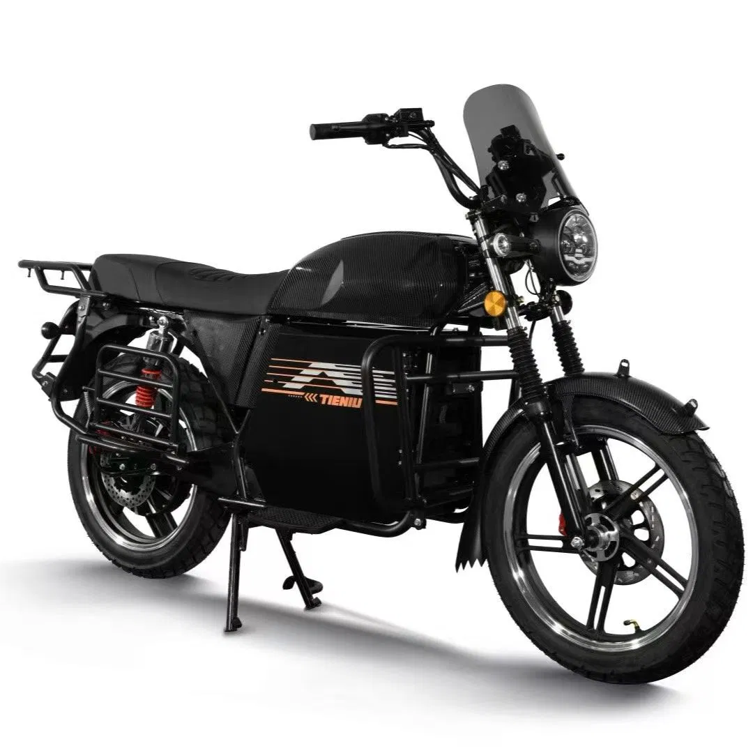 Tieniu Heavy-Duty Electric Cargo Motorcycle